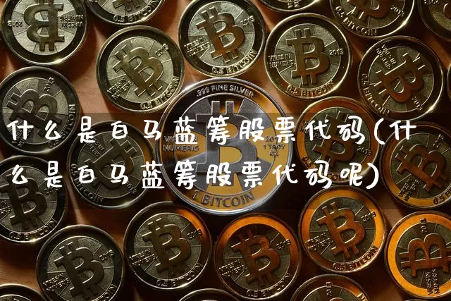 什么是白马蓝筹股票代码(什么是白马蓝筹股票代码呢)_https://www.cangshenghg.com_北交所_第1张