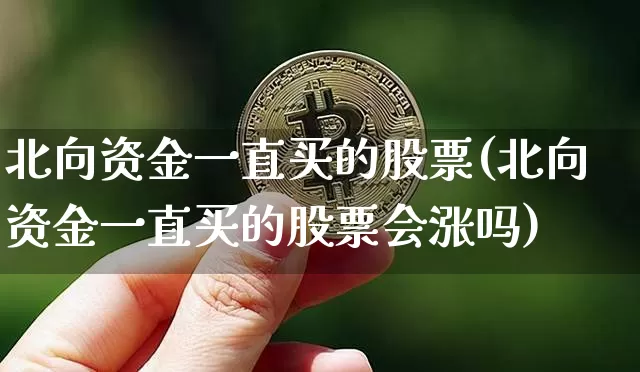 北向资金一直买的股票(北向资金一直买的股票会涨吗)_https://www.cangshenghg.com_北交所_第1张
