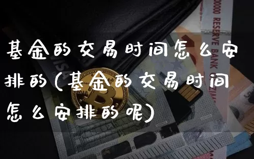 基金的交易时间怎么安排的(基金的交易时间怎么安排的呢)_https://www.cangshenghg.com_科创板_第1张