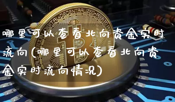 哪里可以查看北向资金实时流向(哪里可以查看北向资金实时流向情况)_https://www.cangshenghg.com_科创板_第1张