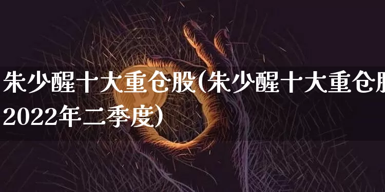 朱少醒十大重仓股(朱少醒十大重仓股2022年二季度)_https://www.cangshenghg.com_北交所_第1张