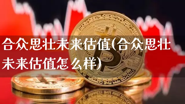 合众思壮未来估值(合众思壮未来估值怎么样)_https://www.cangshenghg.com_财经新闻_第1张