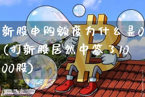 新股申购额度为什么是0(打新股居然中签了1000股)_https://www.cangshenghg.com_北交所_第1张