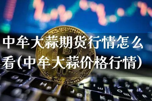 中牟大蒜期货行情怎么看(中牟大蒜价格行情)_https://www.cangshenghg.com_北交所_第1张