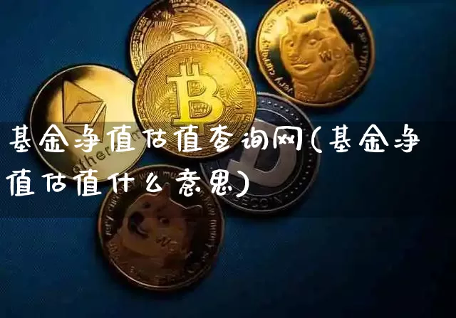 基金净值估值查询网(基金净值估值什么意思)_https://www.cangshenghg.com_北交所_第1张