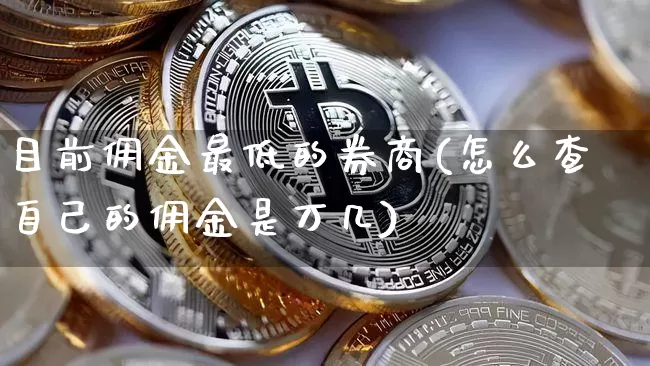 目前佣金最低的券商(怎么查自己的佣金是万几)_https://www.cangshenghg.com_科创板_第1张