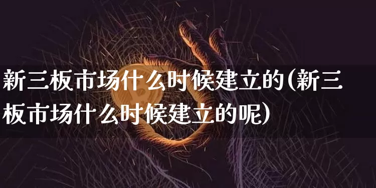 新三板市场什么时候建立的(新三板市场什么时候建立的呢)_https://www.cangshenghg.com_创业板_第1张