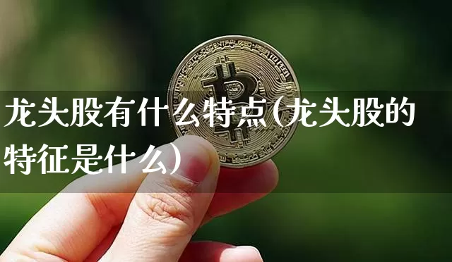 龙头股有什么特点(龙头股的特征是什么)_https://www.cangshenghg.com_创业板_第1张