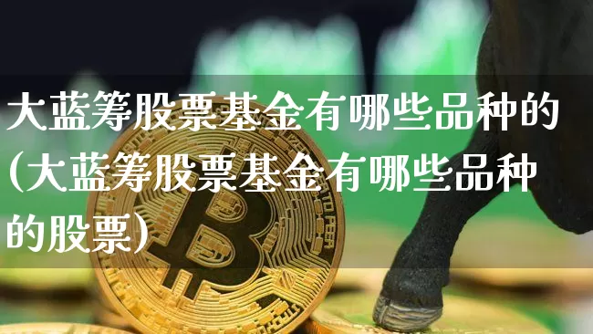 大蓝筹股票基金有哪些品种的(大蓝筹股票基金有哪些品种的股票)_https://www.cangshenghg.com_创业板_第1张