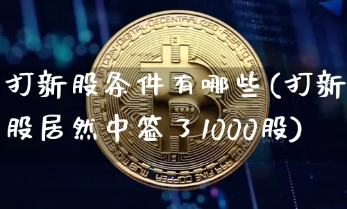 打新股条件有哪些(打新股居然中签了1000股)_https://www.cangshenghg.com_财经新闻_第1张