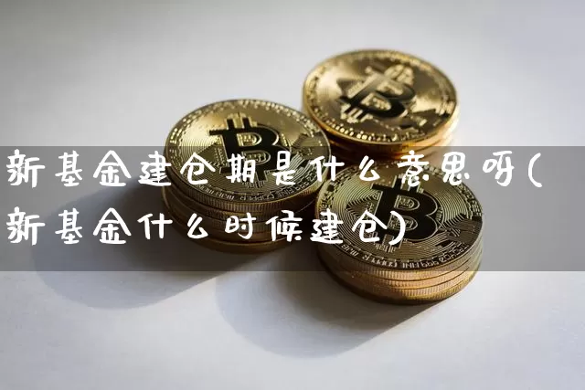 新基金建仓期是什么意思呀(新基金什么时候建仓)_https://www.cangshenghg.com_北交所_第1张