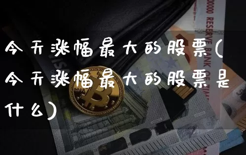 今天涨幅最大的股票(今天涨幅最大的股票是什么)_https://www.cangshenghg.com_北交所_第1张