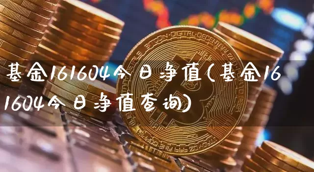 基金161604今日净值(基金161604今日净值查询)_https://www.cangshenghg.com_科创板_第1张