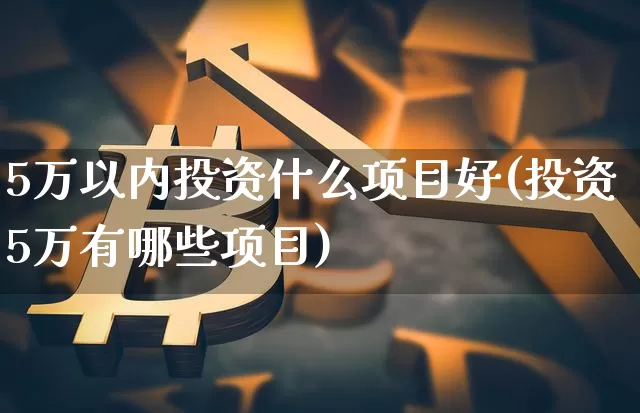 5万以内投资什么项目好(投资5万有哪些项目)_https://www.cangshenghg.com_创业板_第1张