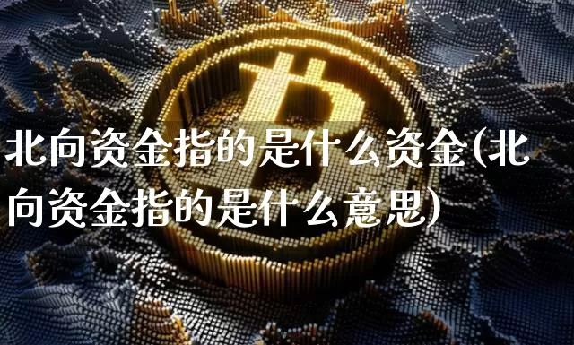 北向资金指的是什么资金(北向资金指的是什么意思)_https://www.cangshenghg.com_北交所_第1张