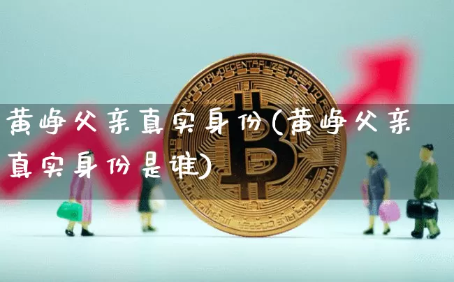 黄峥父亲真实身份(黄峥父亲真实身份是谁)_https://www.cangshenghg.com_A股_第1张