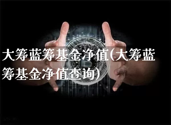 大筹蓝筹基金净值(大筹蓝筹基金净值查询)_https://www.cangshenghg.com_北交所_第1张