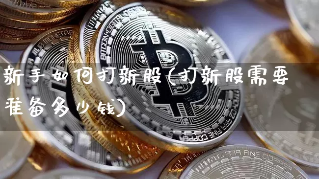 新手如何打新股(打新股需要准备多少钱)_https://www.cangshenghg.com_北交所_第1张