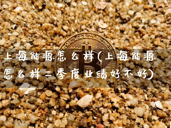 上海能源怎么样(上海能源怎么样二季度业绩好不好)_https://www.cangshenghg.com_科创板_第1张