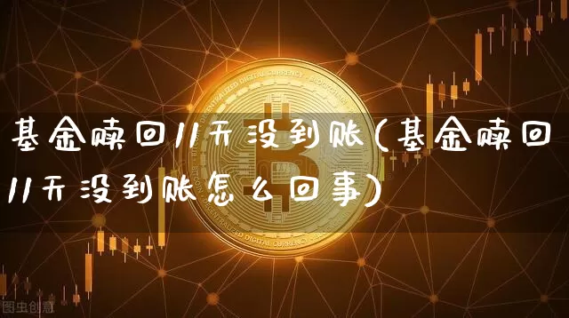 基金赎回11天没到账(基金赎回11天没到账怎么回事)_https://www.cangshenghg.com_财经新闻_第1张