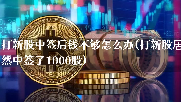 打新股中签后钱不够怎么办(打新股居然中签了1000股)_https://www.cangshenghg.com_北交所_第1张