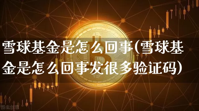 雪球基金是怎么回事(雪球基金是怎么回事发很多验证码)_https://www.cangshenghg.com_北交所_第1张