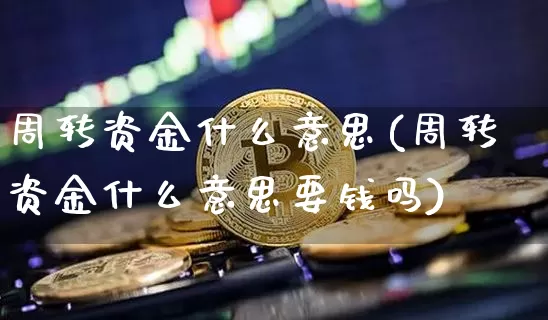 周转资金什么意思(周转资金什么意思要钱吗)_https://www.cangshenghg.com_财经新闻_第1张