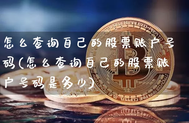 怎么查询自己的股票账户号码(怎么查询自己的股票账户号码是多少)_https://www.cangshenghg.com_科创板_第1张