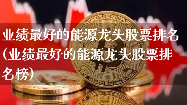 业绩最好的能源龙头股票排名(业绩最好的能源龙头股票排名榜)_https://www.cangshenghg.com_创业板_第1张