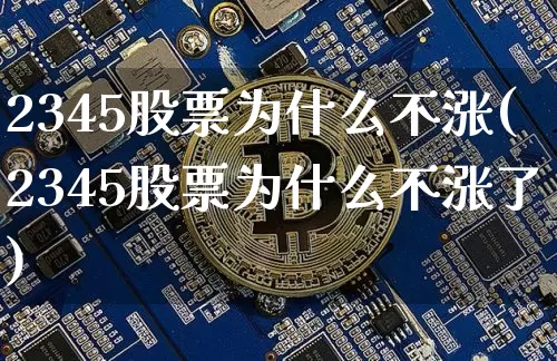 2345股票为什么不涨(2345股票为什么不涨了)_https://www.cangshenghg.com_科创板_第1张