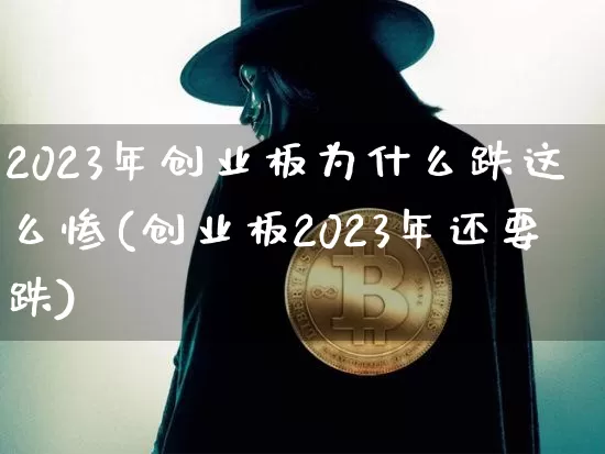 2023年创业板为什么跌这么惨(创业板2023年还要跌)_https://www.cangshenghg.com_创业板_第1张