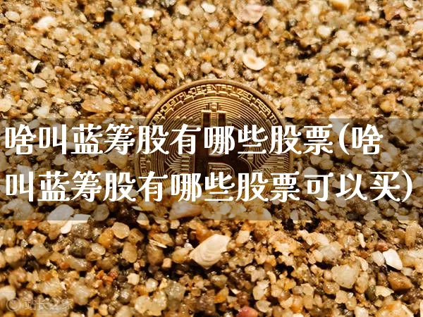 啥叫蓝筹股有哪些股票(啥叫蓝筹股有哪些股票可以买)_https://www.cangshenghg.com_科创板_第1张