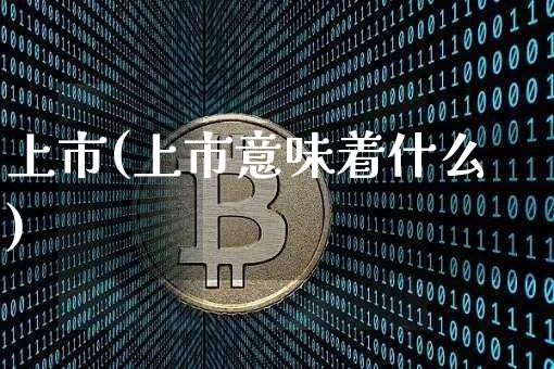 上市(上市意味着什么)_https://www.cangshenghg.com_北交所_第1张