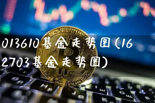 013610基金走势图(162703基金走势图)_https://www.cangshenghg.com_北交所_第1张