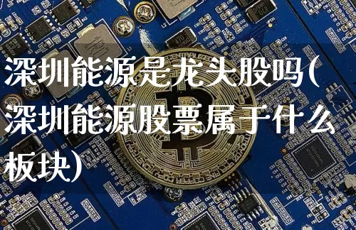 深圳能源是龙头股吗(深圳能源股票属于什么板块)_https://www.cangshenghg.com_创业板_第1张