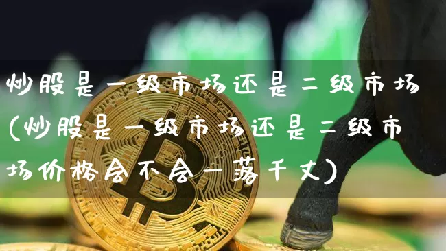炒股是一级市场还是二级市场(炒股是一级市场还是二级市场价格会不会一落千丈)_https://www.cangshenghg.com_创业板_第1张