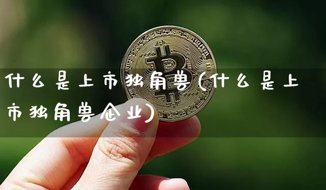什么是上市独角兽(什么是上市独角兽企业)_https://www.cangshenghg.com_A股_第1张