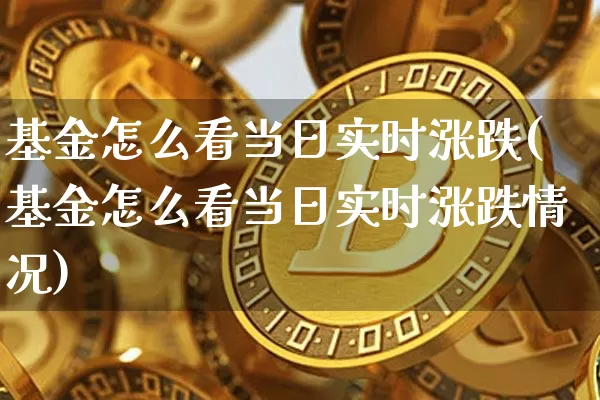 基金怎么看当日实时涨跌(基金怎么看当日实时涨跌情况)_https://www.cangshenghg.com_科创板_第1张