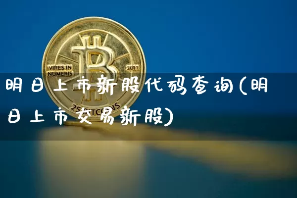 明日上市新股代码查询(明日上市交易新股)_https://www.cangshenghg.com_创业板_第1张