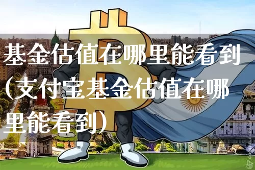 基金估值在哪里能看到(支付宝基金估值在哪里能看到)_https://www.cangshenghg.com_创业板_第1张