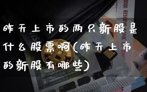 昨天上市的两只新股是什么股票啊(昨天上市的新股有哪些)_https://www.cangshenghg.com_科创板_第1张
