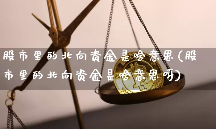 股市里的北向资金是啥意思(股市里的北向资金是啥意思呀)_https://www.cangshenghg.com_财经新闻_第1张