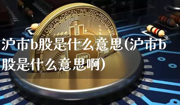 沪市b股是什么意思(沪市b股是什么意思啊)_https://www.cangshenghg.com_创业板_第1张