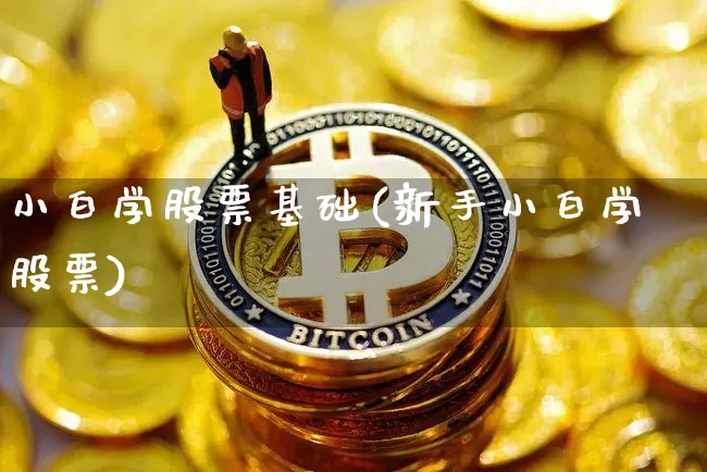 小白学股票基础(新手小白学股票)_https://www.cangshenghg.com_北交所_第1张