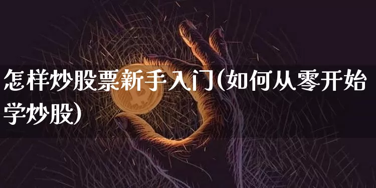 怎样炒股票新手入门(如何从零开始学炒股)_https://www.cangshenghg.com_财经新闻_第1张
