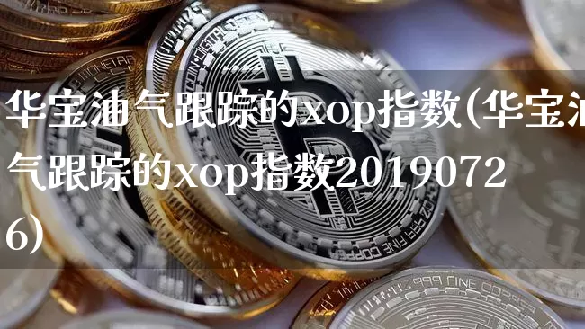 华宝油气跟踪的xop指数(华宝油气跟踪的xop指数20190726)_https://www.cangshenghg.com_科创板_第1张