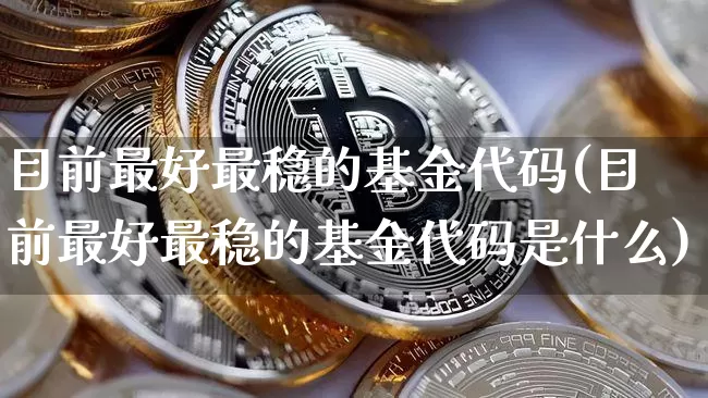 目前最好最稳的基金代码(目前最好最稳的基金代码是什么)_https://www.cangshenghg.com_财经新闻_第1张