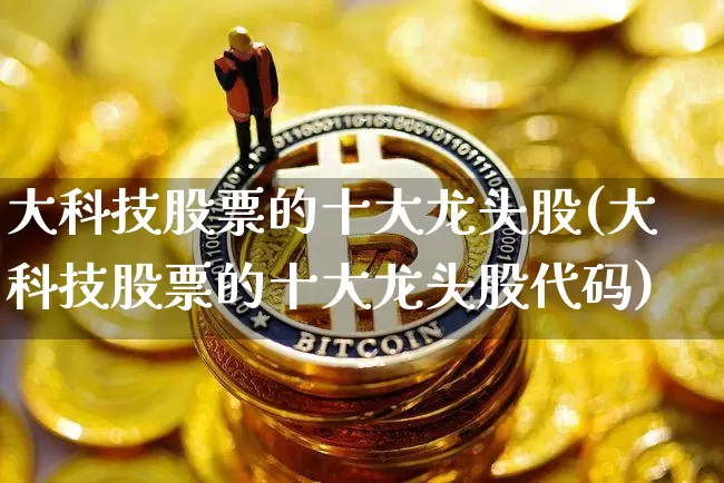 大科技股票的十大龙头股(大科技股票的十大龙头股代码)_https://www.cangshenghg.com_科创板_第1张