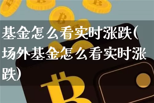 基金怎么看实时涨跌(场外基金怎么看实时涨跌)_https://www.cangshenghg.com_北交所_第1张
