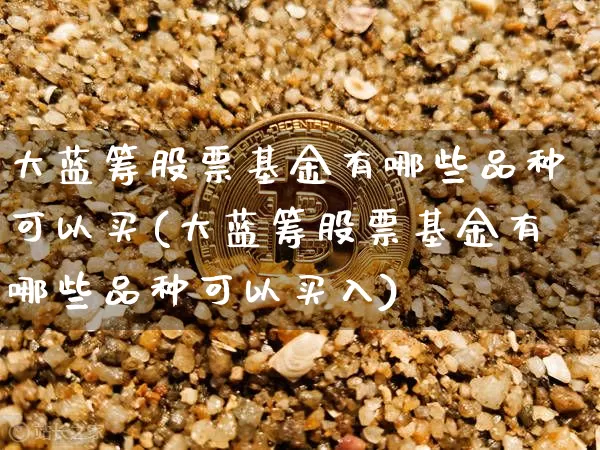 大蓝筹股票基金有哪些品种可以买(大蓝筹股票基金有哪些品种可以买入)_https://www.cangshenghg.com_北交所_第1张